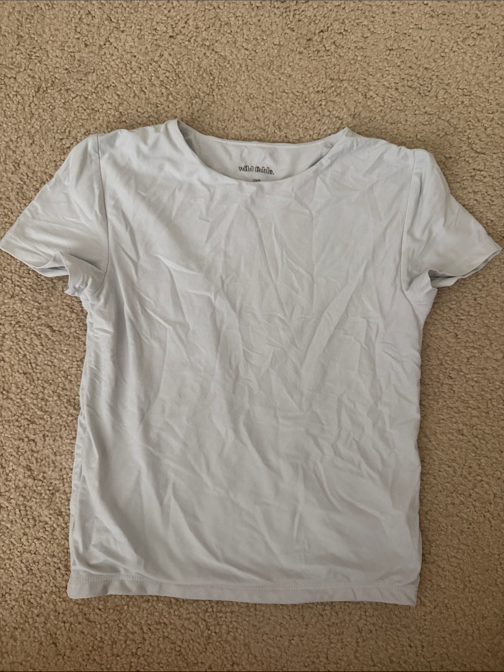 wild fable pale blue crew neck tee